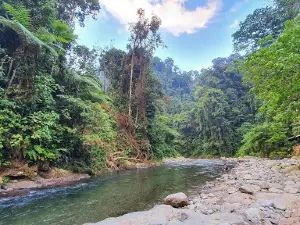 Mount Leuser National Park