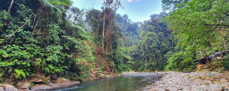 Mount Leuser National Park