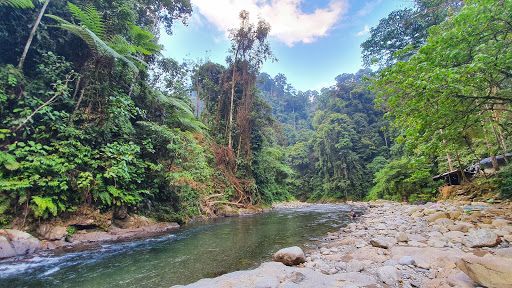 Mount Leuser National Park