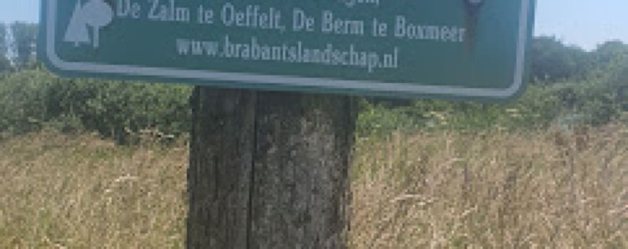 Kleine Vilt