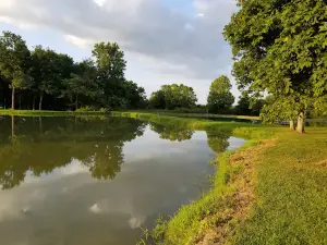 Foxx Lake Outdoor Adventures