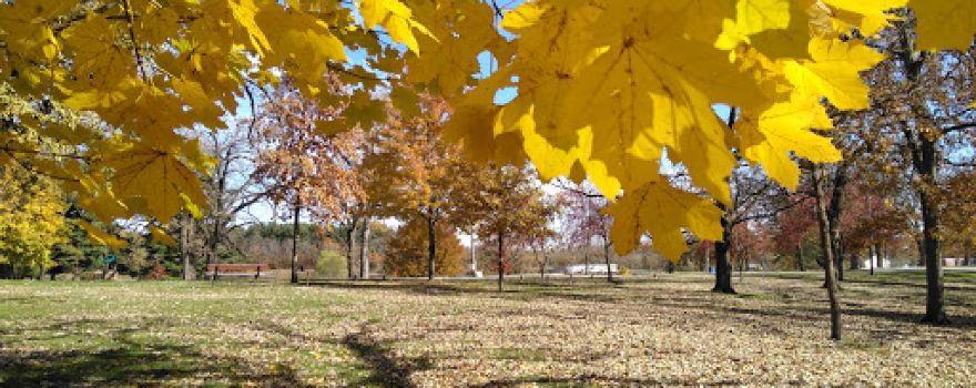 Waterworks Park