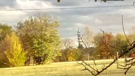 Area cani Porada