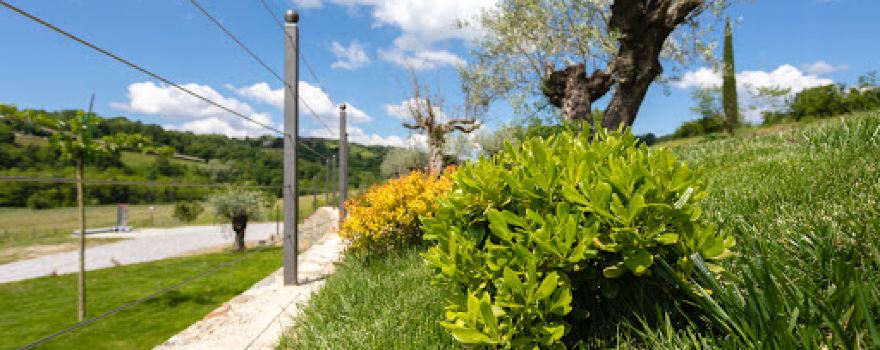 Kamp Brda - Camping, rooms & restaurant