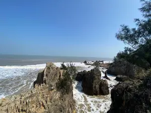 Bãi Đá Nhảy Lý Hòa