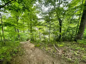 Flushing County Park