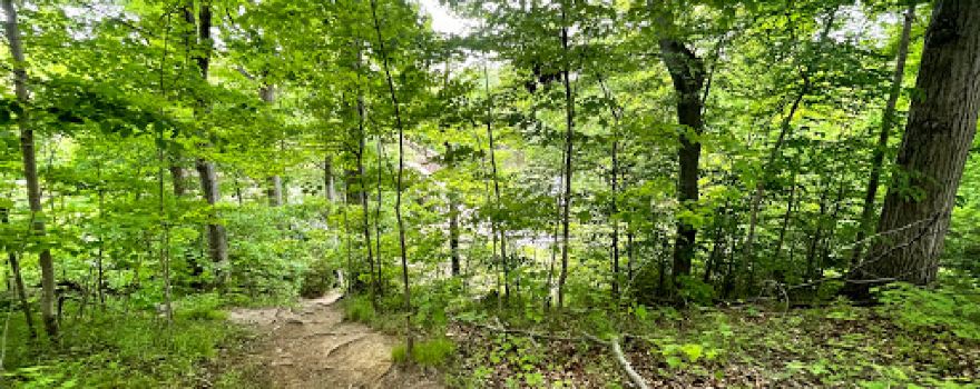 Flushing County Park