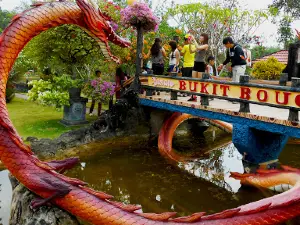 Taman Agrowisata Bukit Bougenville