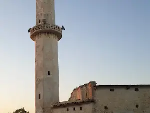 algoni Zakaria