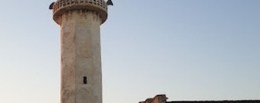 algoni Zakaria