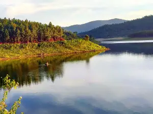Palna Dam