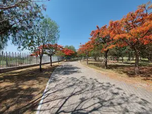 Bicentenario Park