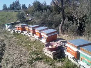 Murat Utlu Parkı