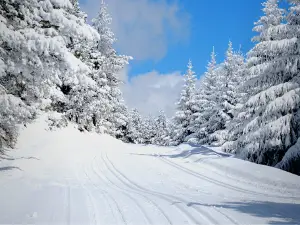 Station de Ski Nordique du Capcir