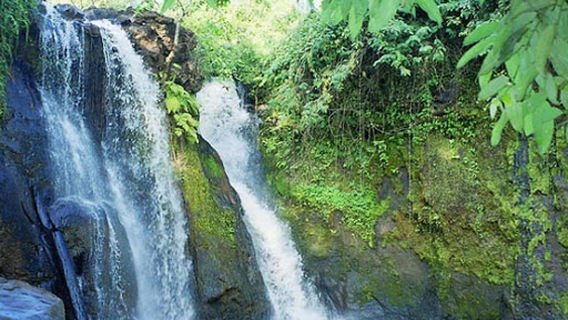 Virachey National Park