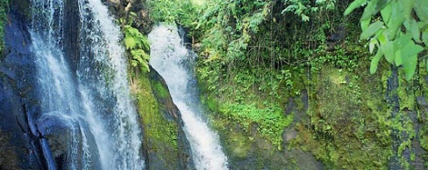 Virachey National Park
