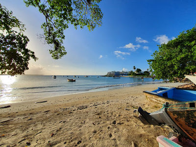 Buccoo Beach