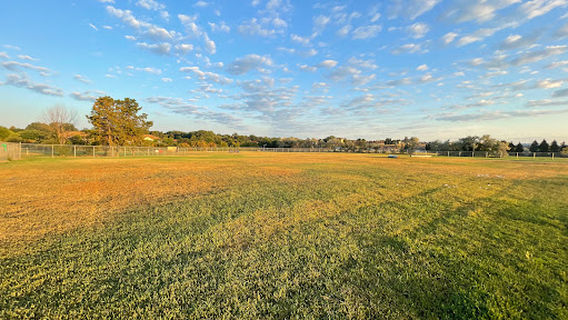 Century Recreation Area Bark Park