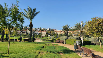 HaMoshava Park