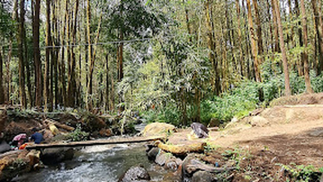 KALI PINUSAN PONCOSUMO