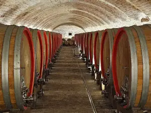 Vinski podrum Vina Belje
