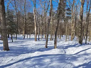 Titusville Mountain