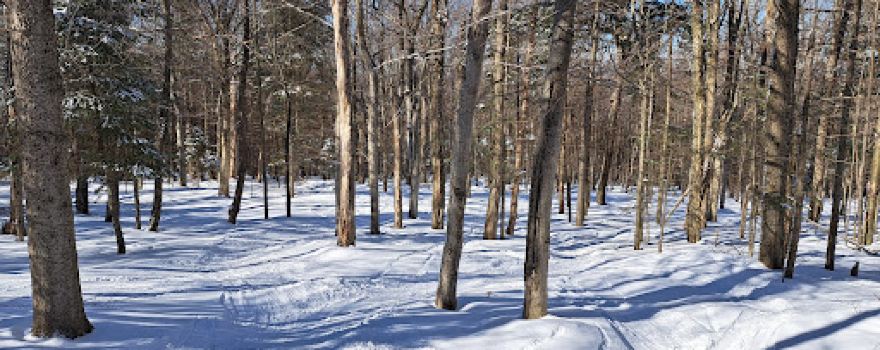 Titusville Mountain