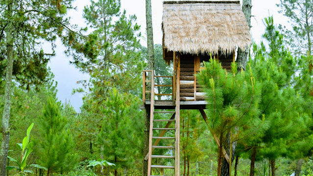 Bukit Pamitra BikePark