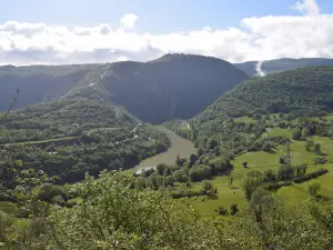 Ain