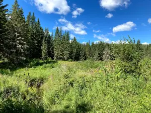 Long Lake Campground