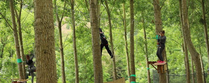 Parc Aventure Cocktail Aventure