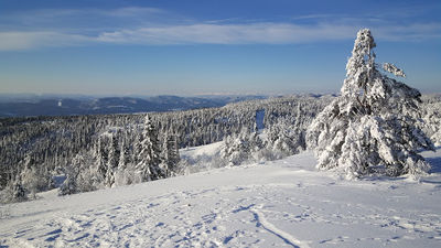 Vealøstårnet