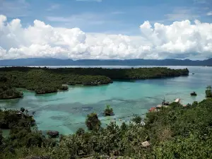 Tugu Rambutan