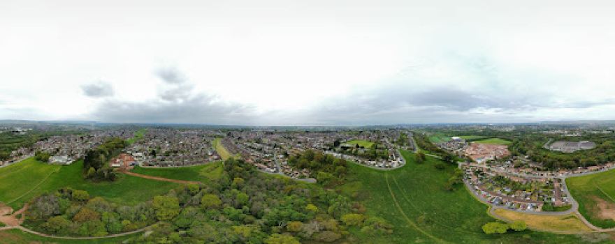 Fishpond Wood
