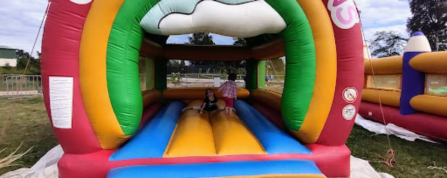 Amusement Park Active BARTBO