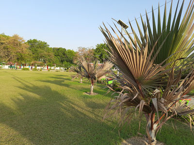 Jaunpur lohiya Park