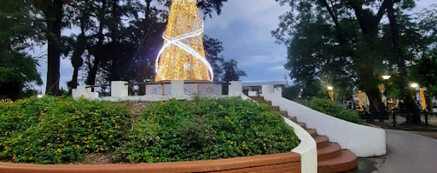 Bernabe Araoz Plaza General