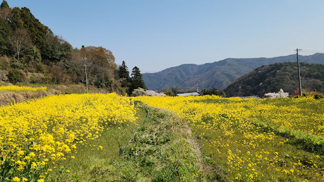 Hirotanahana village