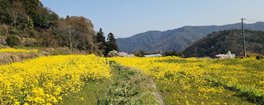 Hirotanahana village