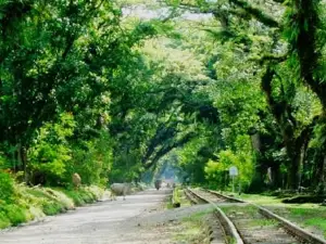 Lorong Negeri Padang Halaban View