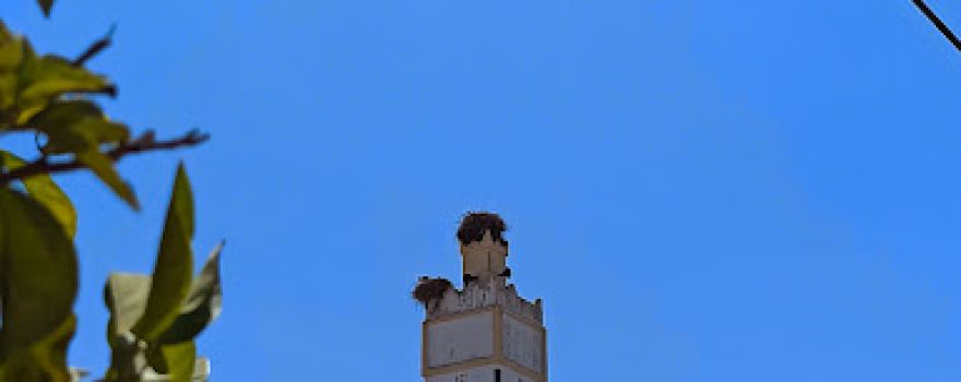 Central Mosque