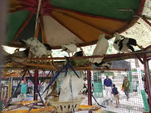Fun World Water Park