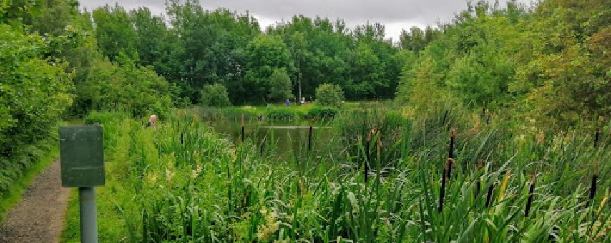 Lofthouse Pond