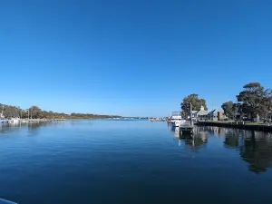 Koala Trail