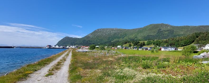 Geilevika småbåthamn, Godøya, Møre og Romsdal