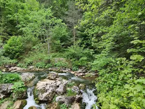 Bâsca Chiojdului River