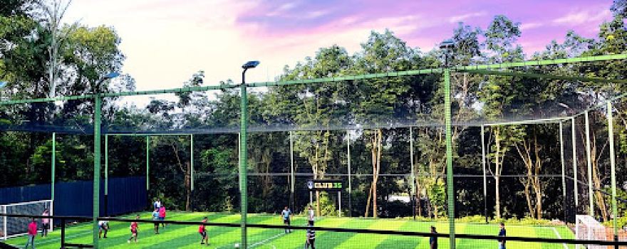 CLUB 35 TURF PALA