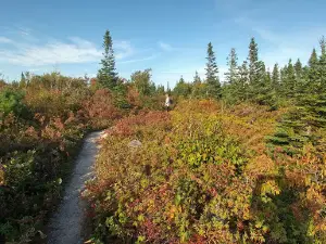 Cape Smokey Trailhead