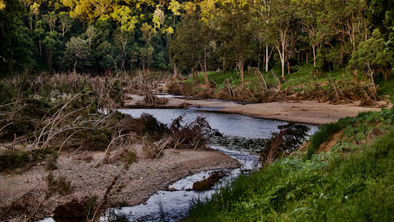 Фиг Три Уолк