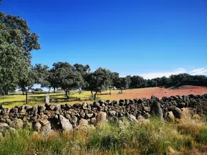 Parque Natural Sierra de Cardeña y Montoro